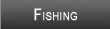 Lake Apopka Fishing